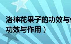 洛神花果子的功效与作用图片（洛神花果子的功效与作用）