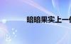暗暗果实上一任（暗暗果实）