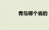 青岛哪个省的（青岛哪个省）