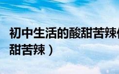 初中生活的酸甜苦辣作文高级（初中生活的酸甜苦辣）