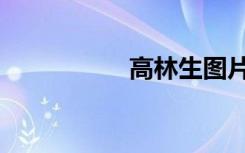 高林生图片（高林生）