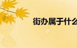 街办属于什么单位（街力）