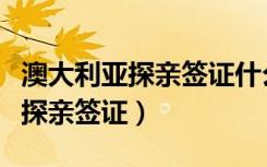 澳大利亚探亲签证什么亲属可以办（澳大利亚探亲签证）