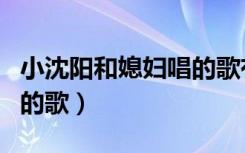 小沈阳和媳妇唱的歌有哪些（小沈阳和媳妇唱的歌）