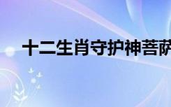 十二生肖守护神菩萨（十二生肖守护神）