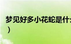 梦见好多小花蛇是什么意思（花蛇是什么意思）