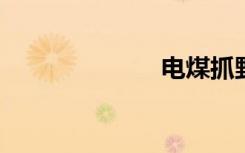 电煤抓野鸡视频