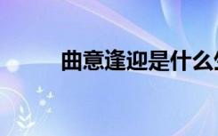 曲意逢迎是什么生肖（曲意逢迎）