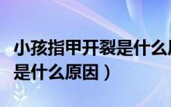 小孩指甲开裂是什么原因图片（小孩指甲开裂是什么原因）