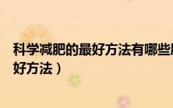 科学减肥的最好方法有哪些脂肪碳水化合物（科学减肥的最好方法）