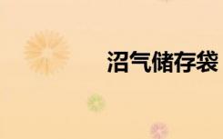 沼气储存袋（沼气储存）