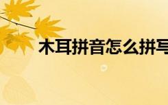 木耳拼音怎么拼写读音（木耳拼音）