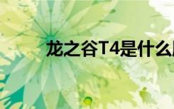 龙之谷T4是什么版本（龙之谷t4）