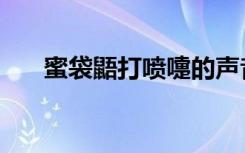 蜜袋鼯打喷嚏的声音（打喷嚏的声音）