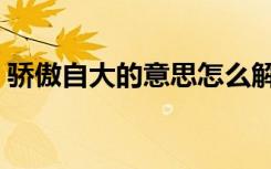 骄傲自大的意思怎么解释（骄傲自大的意思）