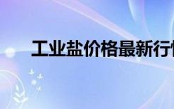 工业盐价格最新行情（工业用盐价格）