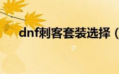 dnf刺客套装选择（dnf刺客穿什么甲）