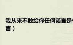 我从来不敢给你任何诺言是什么歌（我从来不敢给你任何诺言）