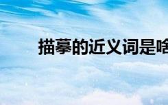 描摹的近义词是啥（描摹的近义词）