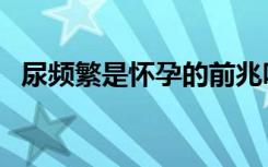 尿频繁是怀孕的前兆吗（怀孕尿频正常吗）