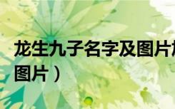 龙生九子名字及图片加拼音（龙生九子名字及图片）