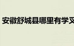 安徽舒城县哪里有学叉车证的（安徽舒城县）
