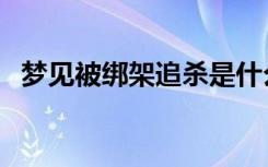 梦见被绑架追杀是什么预兆（梦见被绑架）