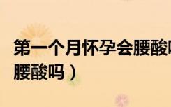 第一个月怀孕会腰酸吗女性（第一个月怀孕会腰酸吗）
