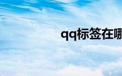 qq标签在哪（qq标签）