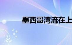 墨西哥湾流在上个世纪稳步增长