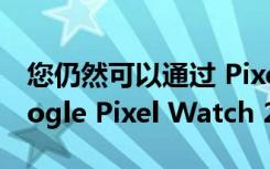 您仍然可以通过 Pixel 8 Pro 获得免费的 Google Pixel Watch 2