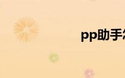 pp助手怎么越狱