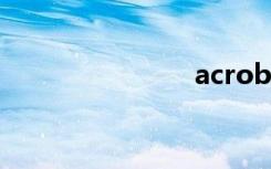 acrobat 9.0