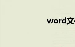 word文件打不开