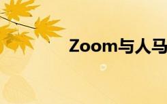 Zoom与人马性Zoom比较