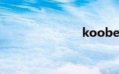 koobee max