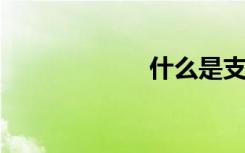 什么是支付宝卡通