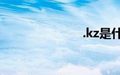 .kz是什么格式