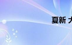 夏新 大v二代