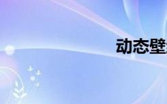 动态壁纸 安卓