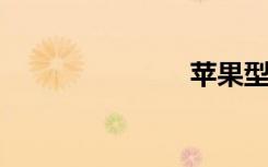 苹果型号查询