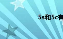 5s和5c有什么区别