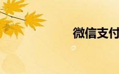 微信支付崩溃原因