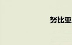 努比亚z5mini