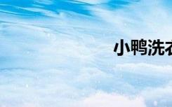 小鸭洗衣机好吗